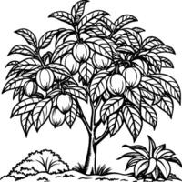 Guava tree coloring pages. Tree outline for coloring book vector