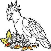 Cockatoo coloring pages. Bird outline for coloring book. vector