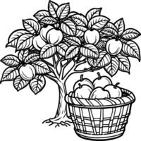 Guava tree coloring pages. Tree outline for coloring book vector