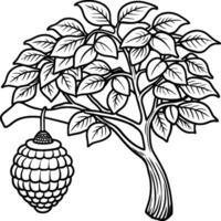 Guava tree coloring pages. Tree outline for coloring book vector