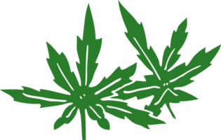 Cartoon-Doodle-Marihuana-Blätter png