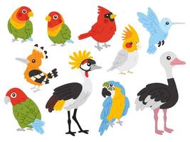 conjunto de aves tropicales vector