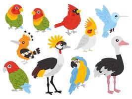 set of tropical birds vector