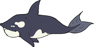 baleia assassina dos desenhos animados png