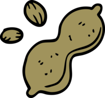 cartoon doodle peanut and shell png