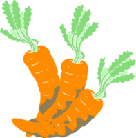 flat color illustration of carrots png