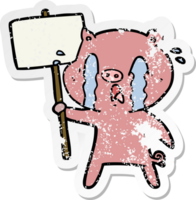 distressed sticker of a crying pig cartoon with protest sign png