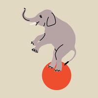 Circus elements in modern flat, line style. Hand drawn illustration of elephant on the ball, Isolated graphic design element vector