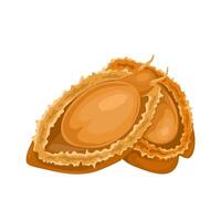 Illustration, Dried Abalone, isolated on white background. vector