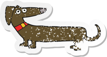 retro distressed sticker of a cartoon sausage dog png