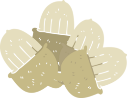 flat color illustration of acorns png