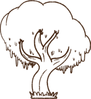 dibujo de carbón de árbol png