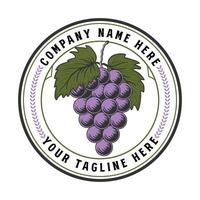 Vintage Grape Fruit Badge Emblem for Craft Beer Wine or Farm Garden Product Logo vector