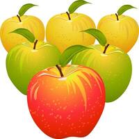 set of colorful apples vector