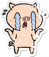 distressed sticker of a crying pig cartoon png