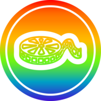 película película carrete circular icono con arco iris degradado terminar png