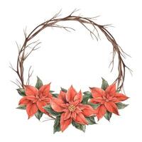 Poinsettia, Christmas red flower and dry tree branches. Watercolor round wreath in vintage style on an isolated background. Drawing for invitations, banners, cards, wrapping paper, New Year's decor. vector
