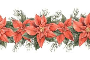 Poinsettia, Christmas red flower with green leaves and fir branches. Seamless watercolor botanical border on isolated background. Drawing for invitations, banners, cards, wrapping paper, decor. vector