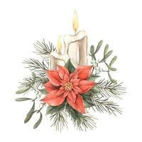 Poinsettias, wax candle, fir branches and mistletoe. Watercolor illustration in vintage style on isolated background. Drawing for Christmas and New Year holidays, invitations, cards, banners, decor. vector