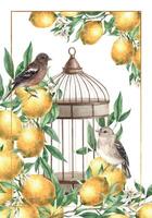 Postcard design featuring a branch with lemons, realistic birds and a copper vintage cage. Isolated watercolor card in vintage style. Composition for interior, cards, wedding design, invitations. vector