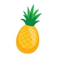 Fresh pineapple tropical fruit icon on white vector