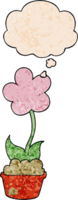 cute cartoon flower with thought bubble in grunge texture style png