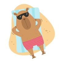 Tourist funny capybara lying on beach vector