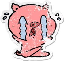 distressed sticker of a crying pig cartoon png