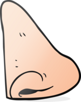 nez humain de dessin animé png