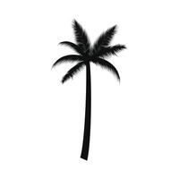 Palm tree silhouette illustration on white vector