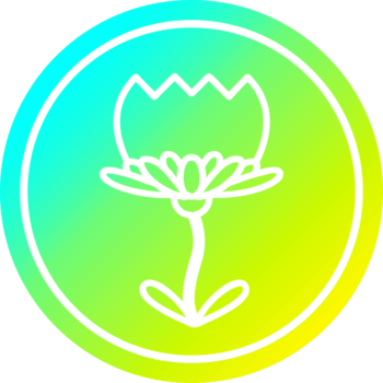 flor de lótus circular no espectro de gradiente frio png