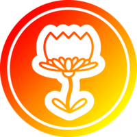 fleur de lotus circulaire dans le spectre de gradient chaud png