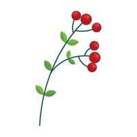 Christmas branch with red berries isolated on white vector
