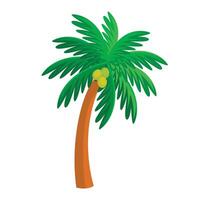 hand drawn palm trees with coconut on white vector