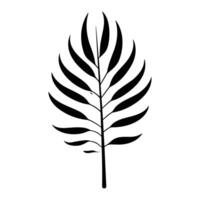 Silhouette of palm leaf a, Set of palm leaves silhouettes vector