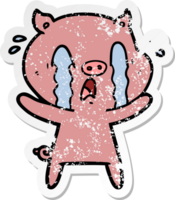 distressed sticker of a crying pig cartoon png