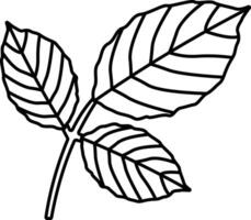 Rose Leaf outline illustration vector
