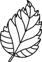 Hibiscus Leaf outline illustration vector