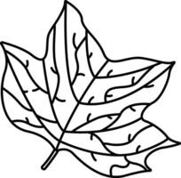 Tulipifera Leaf outline illustration vector