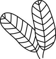 Guava Leaf outline illustration vector