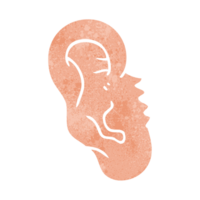 retro cartoon human ear png