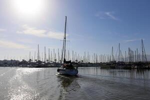 Masts in the port against the blue sky. photo