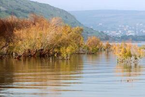 Lake Kinneret. The lake's coastline is the lowest landmass on Earth photo