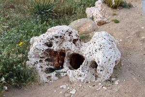 Stones in a city park on the shores of the Mediterranean Sea. photo