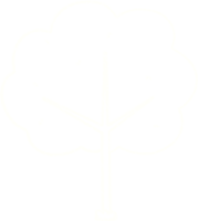 desenho de giz de árvore png