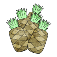 getextureerde tekenfilm ananas png