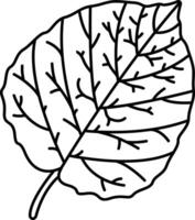 Aspen Leaf outline illustration vector