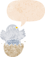 cartoon hatching chicken and speech bubble in retro textured style png