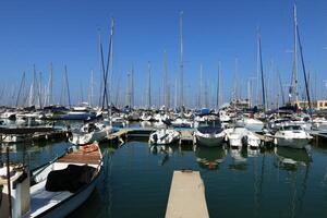 Masts in the port against the blue sky. photo