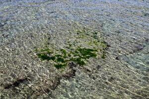 The color of water in the Mediterranean Sea in shallow water. Natural abstract background. photo